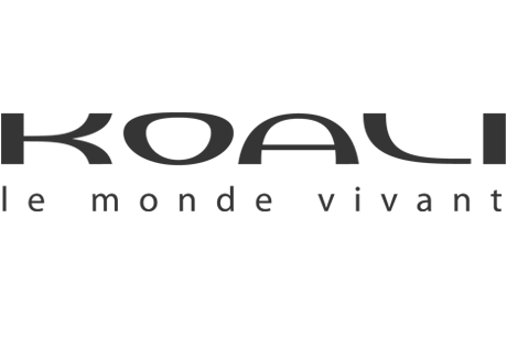 Koali